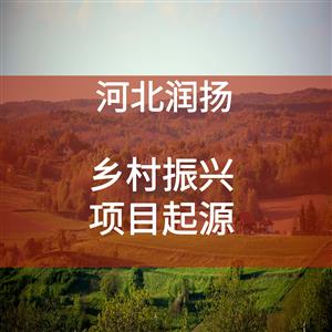润扬项目 | 乡村振兴--项目起源
