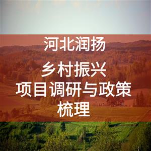 润扬项目 | 乡村振兴--项目调研与政策梳理