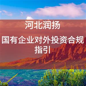 国有企业对外投资合规指引