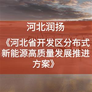 《河北省开发区分布式新能源高质量发展推进方案》
