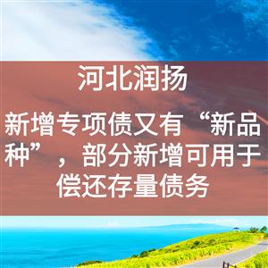 新增专项债又有“新品种”，部分新增可用于偿还存量债务