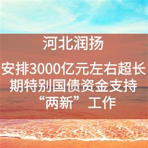 安排3000亿元左右超长期特别国债资金支持“两新”工作