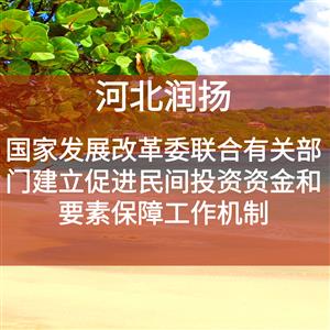 国家发展改革委联合有关部门建立促进民间投资资金和要素保障工作机制