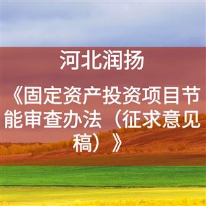 《固定资产投资项目节能审查办法（征求意见稿）》