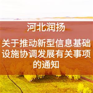 关于推动新型信息基础设施协调发展有关事项的通知