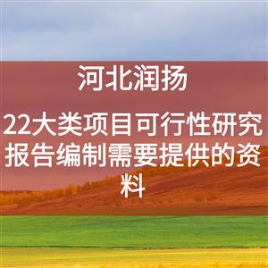 22大类项目可行性研究报告编制需要提供的资料
