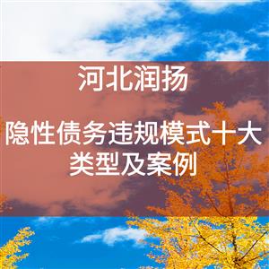 隐性债务违规模式十大类型及案例