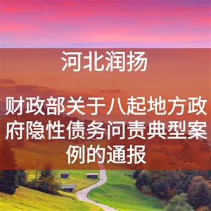 财政部关于八起地方政府隐性债务问责典型案例的通报