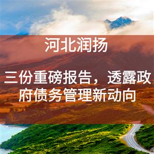 三份重磅报告，透露政府债务管理新动向