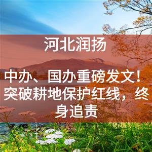 中办、国办重磅发文！突破耕地保护红线，终身追责