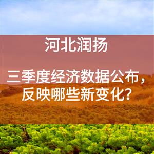 三季度经济数据公布，反映哪些新变化？