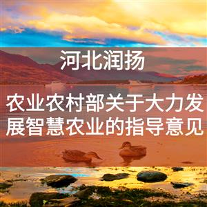 农业农村部关于大力发展智慧农业的指导意见