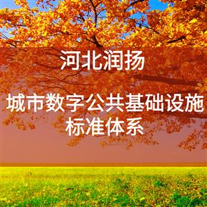 城市数字公共基础设施标准体系