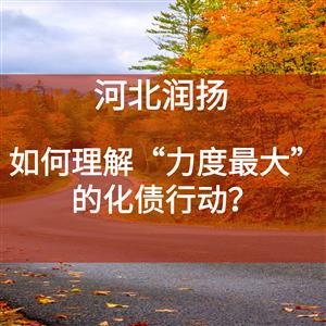 如何理解“力度最大”的化债行动？