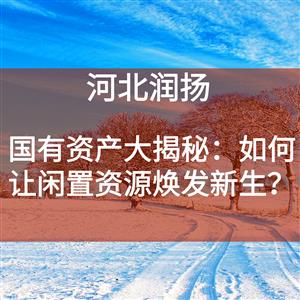 国有资产大揭秘：如何让闲置资源焕发新生？