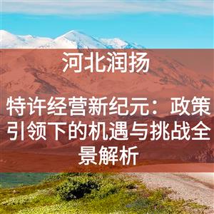 特许经营新纪元：政策引领下的机遇与挑战全景解析