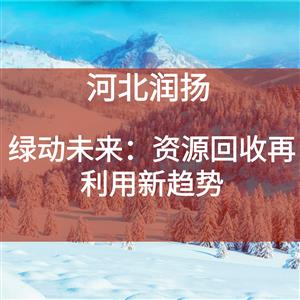 绿动未来：资源回收再利用新趋势