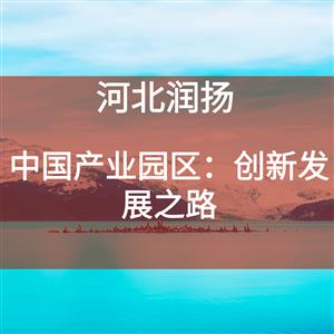 ​中国产业园区：创新发展之路