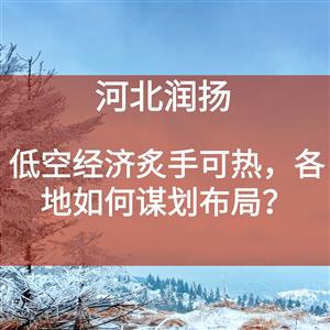 低空经济炙手可热，各地如何谋划布局？