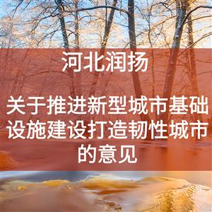 关于推进新型城市基础设施建设打造韧性城市的意见