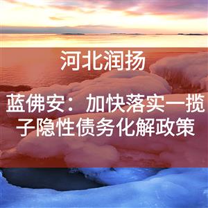 蓝佛安：加快落实一揽子隐性债务化解政策