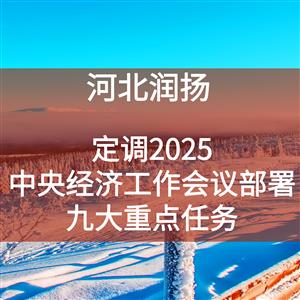 定调2025，中央经济工作会议部署九大重点任务