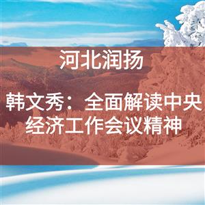 韩文秀：全面解读中央经济工作会议精神