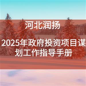 2025年政府投资项目谋划工作指导手册