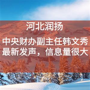 中央财办副主任韩文秀最新发声，信息量很大