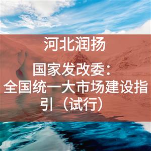 国家发改委：全国统一大市场建设指引（试行）