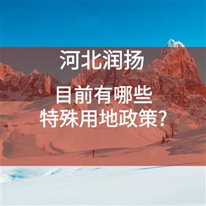 目前有哪些特殊用地政策？