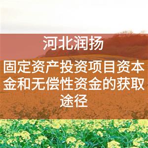 固定资产投资项目资本金和无偿性资金的获取途径