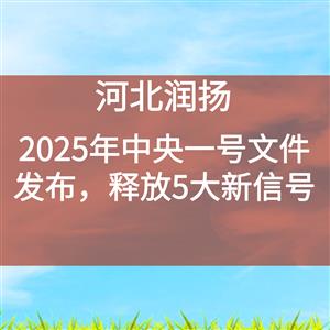 2025年中央一号文件发布，释放5大新信号