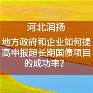 地方政府和企业如何提高申报超长期国债项目的成功率？