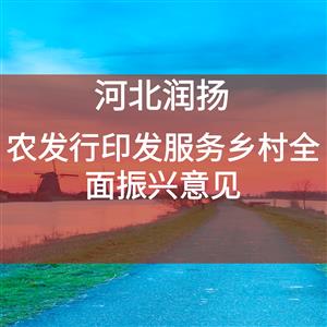 农发行印发服务乡村全面振兴意见