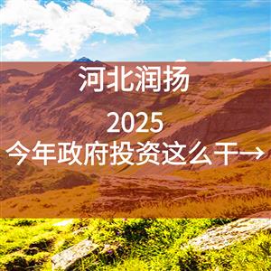 今年政府投资这么干→