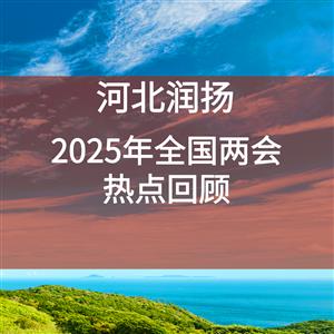 2025年全国两会热点回顾