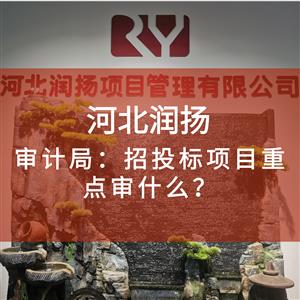 审计局：招投标项目重点审什么？