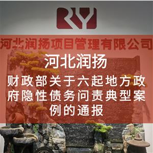 财政部关于六起地方政府隐性债务问责典型案例的通报
