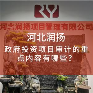 政府投资项目审计的重点内容有哪些？