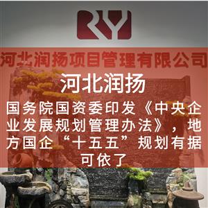 国务院国资委印发《中央企业发展规划管理办法》，地方国企“十五五”规划有据可依了