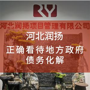 正确看待地方政府债务化解