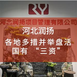 各地多措并举盘活国有 “三资”