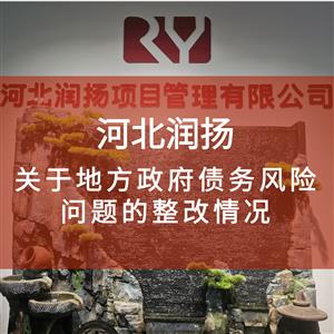 关于地方政府债务风险问题的整改情况