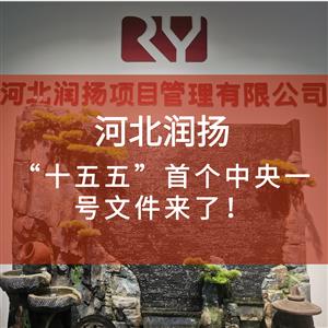 “十五五”首个中央一号文件来了！
