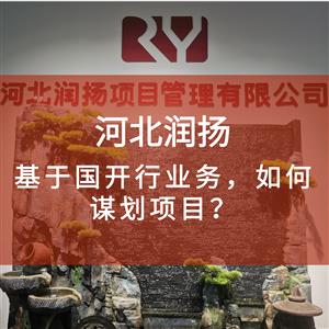 基于国开行业务，如何谋划项目？