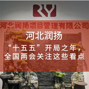 “十五五”开局之年，全国两会关注这些看点